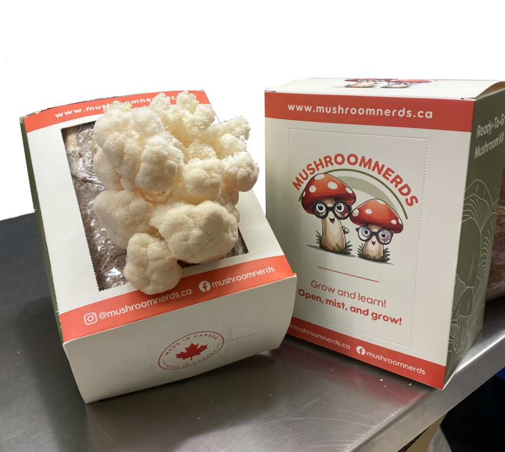 Lion's Mane Mushroom Kit