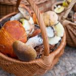 a basket filled with various mushrooms